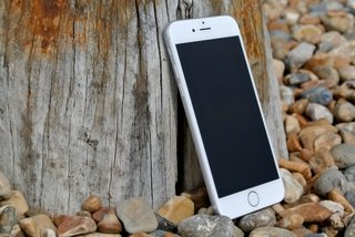 O celular colocado ao pé de uma árvore. Aparelho vai muito além de ser apenas uma ferramenta de comunicação